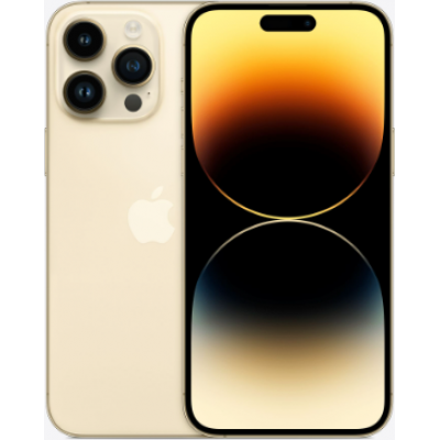 iPhone 14 Pro Max Gold (Золотой) 1TB